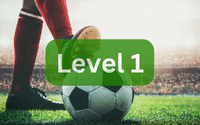 Guess the football player 1