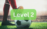 Guess the football player 2